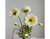 Artificial Corn Poppy Stem – 63 cm
