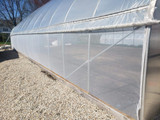 Insect Netting