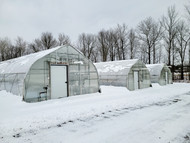 Will Your High Tunnel Hold Up to Extreme Weather?