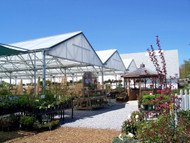 Gutter-Connected vs. Freestanding Greenhouses