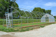 The Bobcat Has Arrived: Introducing Our New Affordable Starter Greenhouse