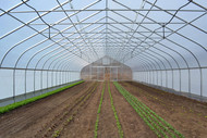 How to Maintain a Greenhouse: Your Maintenance Checklist