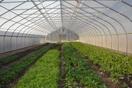 2026 NRCS High Tunnel Funding Guide