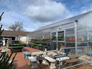 How Colonial Gardens is Growing their Garden Center with a Rimol Greenhouse