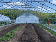 How The Cedar Chest Farm Turned a Homestead into a Market Garden