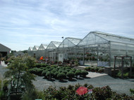 Rimol Greenhouse Systems Welcomes Bill Rowohlt as Special Projects Manager