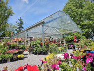 How Palmiter’s Garden Nursery Upgraded Their Retail Experience with a Rimol Greenhouse
