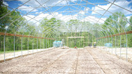 How to Select a Greenhouse