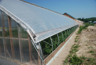 Passive Vs. Active Greenhouse Ventilation 