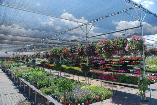 Rimol Greenhouse Shade Structure 80' Width SS80