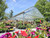 Matterhorn Greenhouse