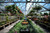 Matterhorn Greenhouse