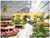 Inside of a Rimol Matterhorn greenhouse at a garden center