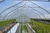 Inside view of 16 x 48 Bobcat high tunnel at Johnny's Selected Seeds with poly film