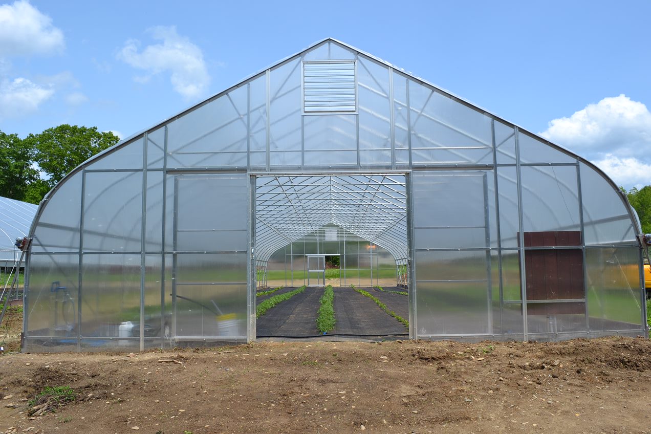 High tunnel greenhouse growing vegetables year round