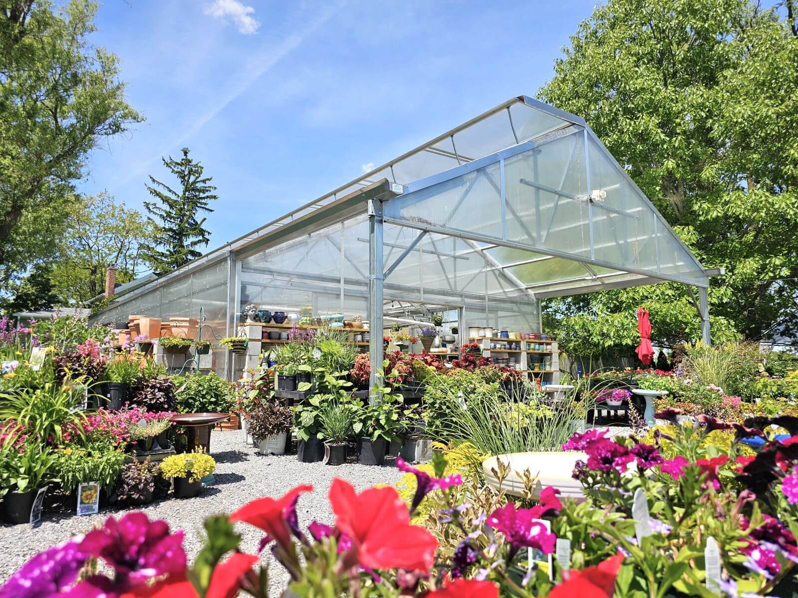 Retail garden center greenhouse - Rimol Matterhorn
