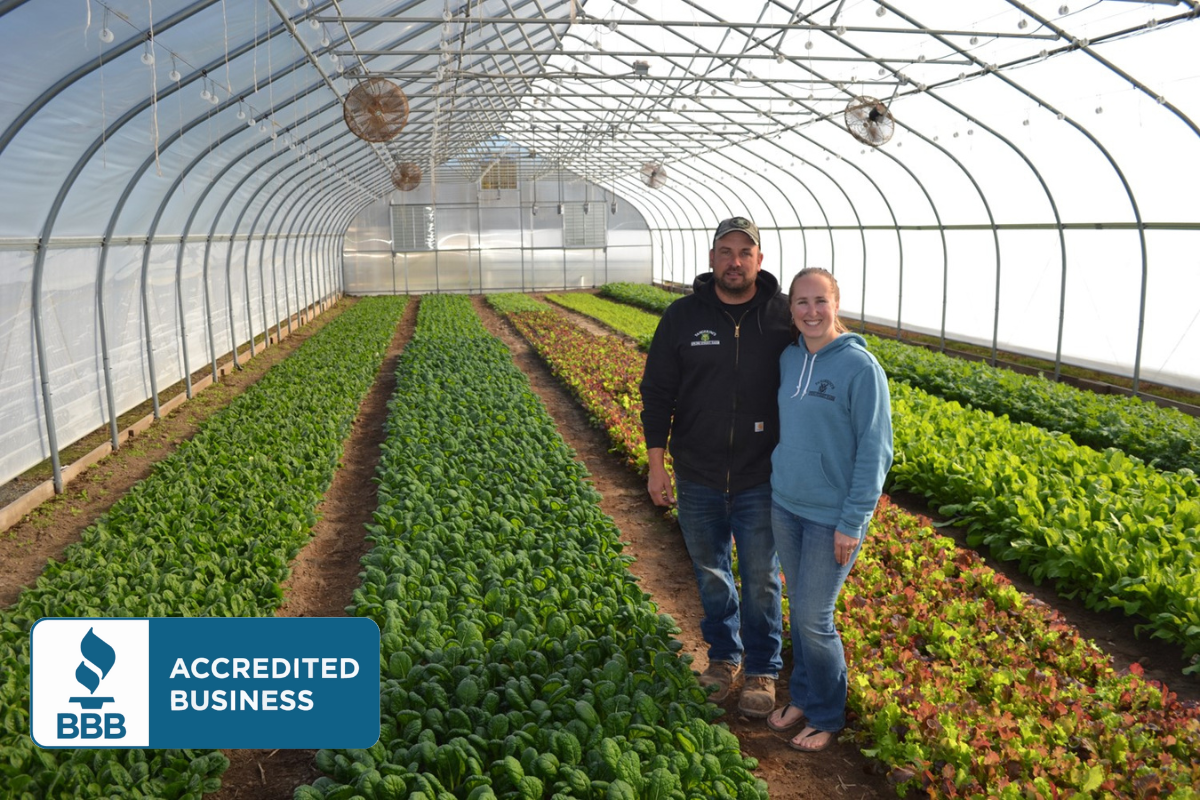 Rimol Greenhouse Systems customers standing inside their high tunnel structure