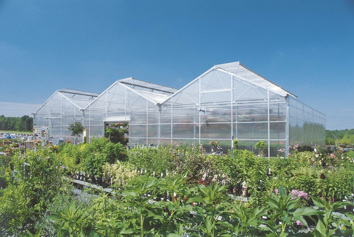 Garden center greenhouses outside with plants surrounding it