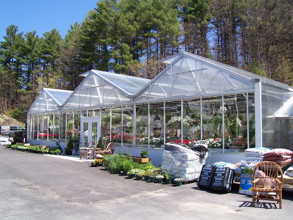 Glass greenhouses showing beautiful flowers at a garden center nursery