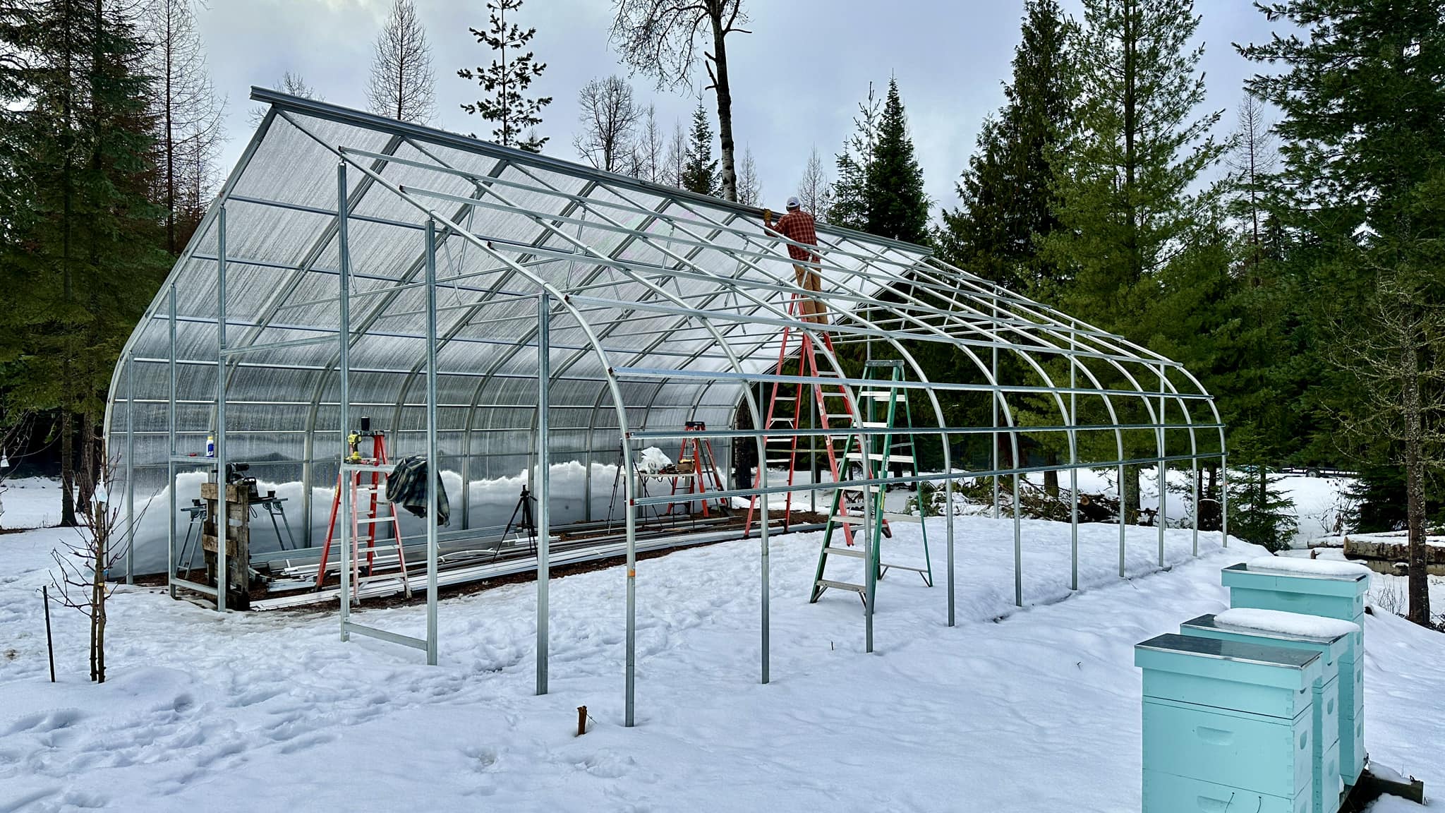 Image showcasing Off-Grid Greenhouse Retreat w/ Ocean View Loft - Airbnb