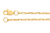 14K Yellow Gold Long Link Chain