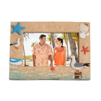 Seagull Frame