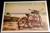 Point Pleasant Beach Fridge Magnet