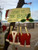 Gone To The Beach Santa Ornament