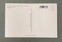 Take Me To The Beach- Jersey Shore Post Card