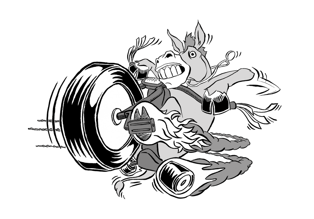 HAMLIN Adult Big Wheel Race 2021