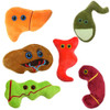 Giant Microbes