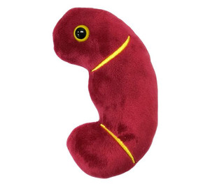 Kidney Plushie