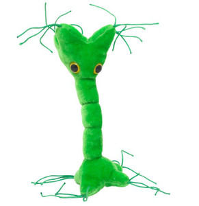 Nerve Cell Plushie