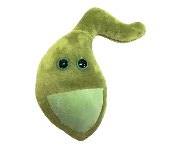 Gallbladder Plushie