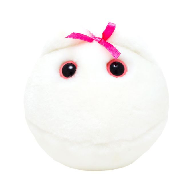 Egg Cell Plushie