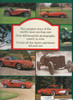 The Sportscar Album (Chris Horton and J G Newbery) (9781858410166) - back