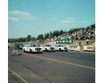 Racing Mustangs - An International Photographic History 1964-1986 (Steve Holmes)