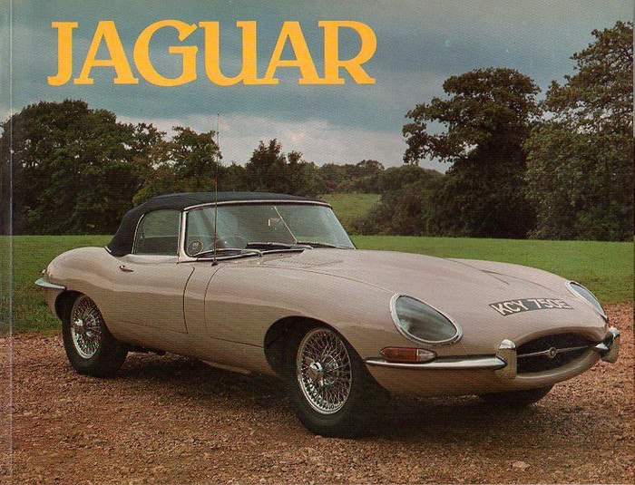 Jaguar (1984 by Bron Kowal) (9780862831653)