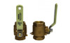 GROCO 1/2" NPT Bronze In-Line Ball Valve IBV-500