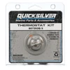 OEM Quicksilver/Mercury Thermostat Kit- 160 Degree  807252Q5