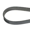 OEM MerCruiser 5.0/5.7/6.2/V8  Serpentine Belt  865423005 57-865615Q05