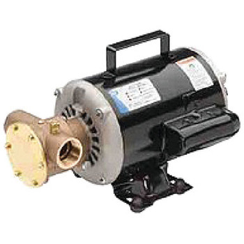 Jabsco Utility Pump 115/230 Volt 60500003