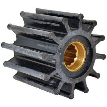 Johnson Pump 09-812B1 Bulk (20Pack) 08-812B-1