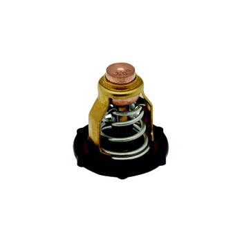 OEM Quicksilver/Mercury Thermostat 8M6013870