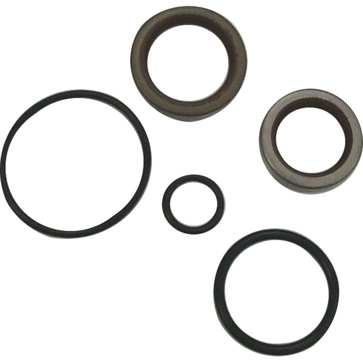 Sierra Crankshaft Seal Kit 18-4329