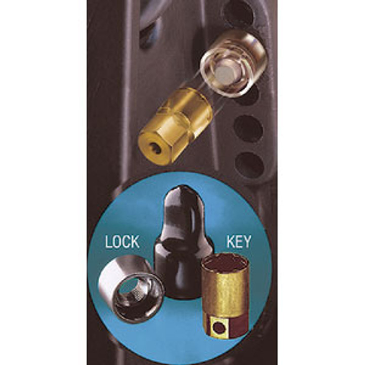McGard Locks Outboard Lock 50hp Yamaha & Up 74037