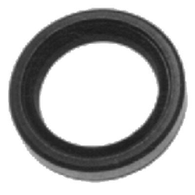 Sierra Oil Seal E/J 317982 18-2025