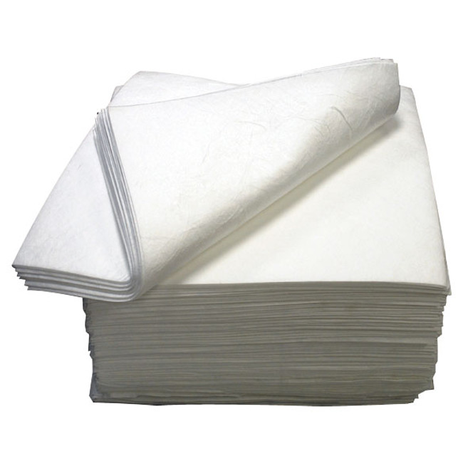 Starbrite Bilge Pads 18In X 19In 200/Bg 91820 Starbrite Bilge Pads 18In X 19In 200/Bg 91820