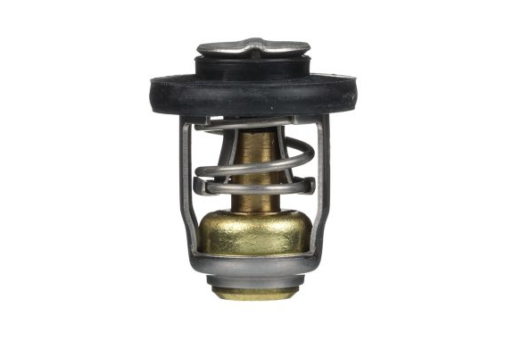 OEM Mercury / Quicksilver (120°F) 30-40hp 3-Cylinder 4-Stroke Outboards Thermostat Kit 825212A1