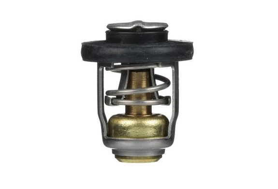 OEM Mercury / Quicksilver (120°F) 30-40hp 3-Cylinder 4-Stroke Outboards Thermostat Kit 825212A1 OEM Mercury / Quicksilver (120°F) 30-40hp 3-Cylinder 4-Stroke Outboards Thermostat Kit 825212A1